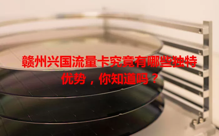 赣州兴国流量卡究竟有哪些独特优势，你知道吗？