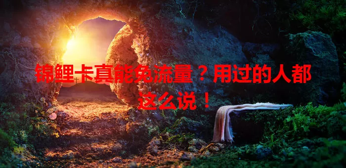 锦鲤卡真能免流量？用过的人都这么说！