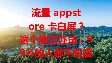 流量 appstore 卡白屏？这个解决办法，99%的人都不知道