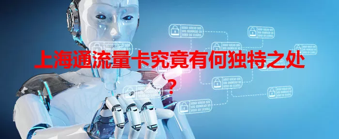 上海通流量卡究竟有何独特之处？