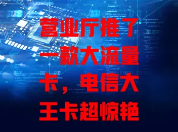 营业厅推了一款大流量卡，电信大王卡超惊艳