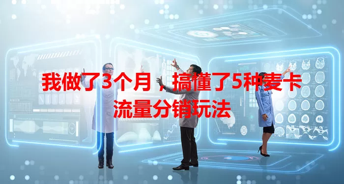 我做了3个月，搞懂了5种麦卡流量分销玩法