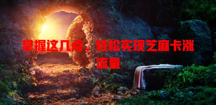 掌握这几点，轻松实现芝麻卡涨流量