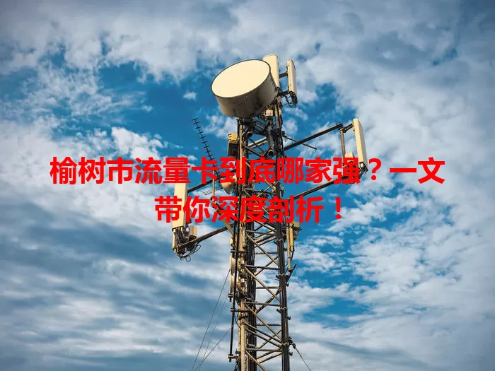 榆树市流量卡到底哪家强？一文带你深度剖析！