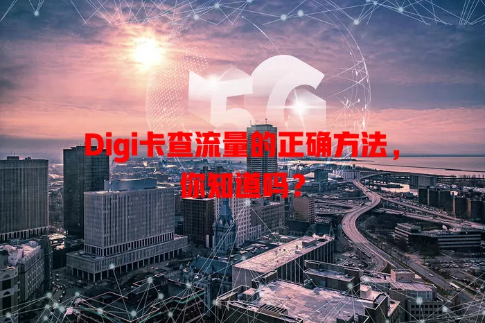 Digi卡查流量的正确方法，你知道吗？