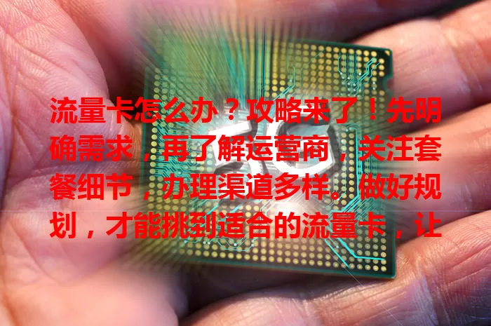 流量卡怎么办？攻略来了！先明确需求，再了解运营商，关注套餐细节，办理渠道多样。做好规划，才能挑到适合的流量卡，让上网更顺畅！