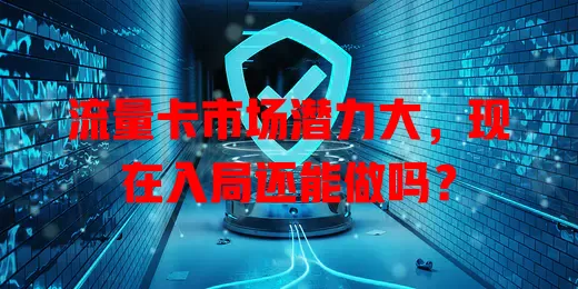 流量卡市场潜力大，现在入局还能做吗？