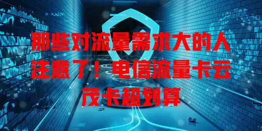 那些对流量需求大的人注意了！电信流量卡云茂卡超划算