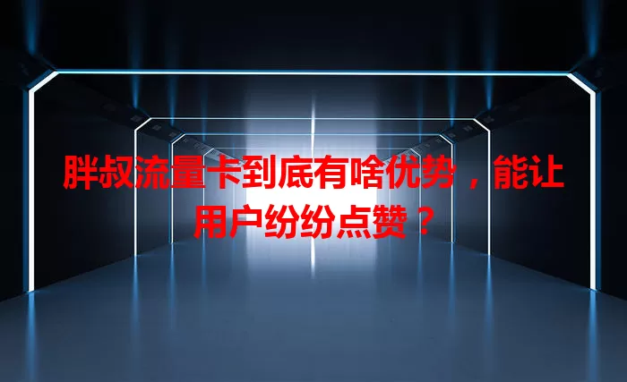 胖叔流量卡到底有啥优势，能让用户纷纷点赞？