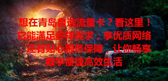 想在青岛自选流量卡？看这里！它能满足多样需求，享优质网络，还有贴心服务保障，让你畅享数字便捷高效生活