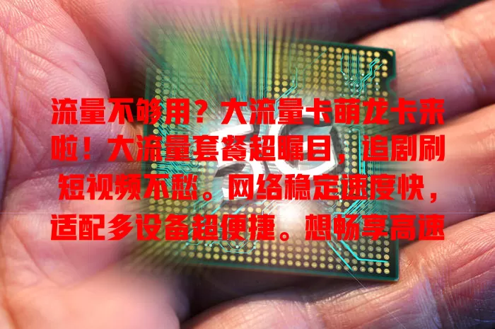 流量不够用？大流量卡萌龙卡来啦！大流量套餐超瞩目，追剧刷短视频不愁。网络稳定速度快，适配多设备超便捷。想畅享高速网络，就选它开启流量自由新时代！