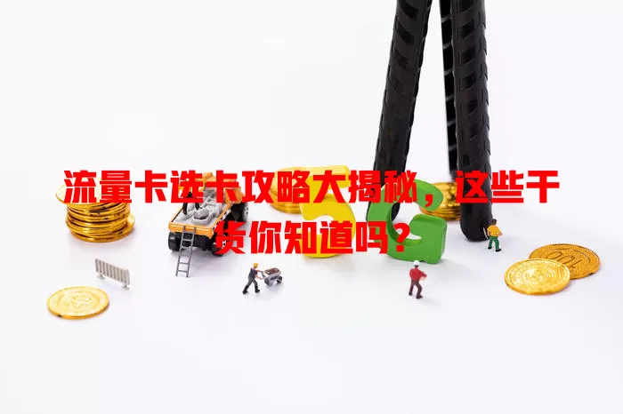 流量卡选卡攻略大揭秘，这些干货你知道吗？