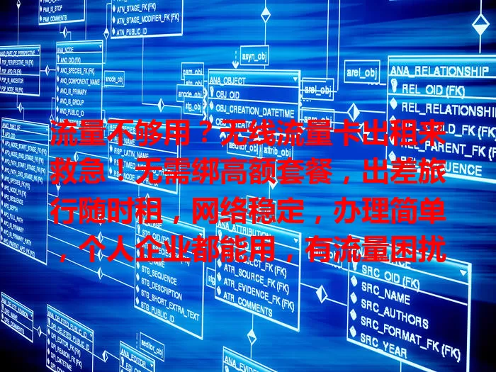 流量不够用？无线流量卡出租来救急！无需绑高额套餐，出差旅行随时租，网络稳定，办理简单，个人企业都能用，有流量困扰就选它