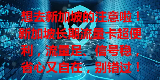 想去新加坡的注意啦！新加坡长期流量卡超便利，流量足、信号稳，省心又自在，别错过！