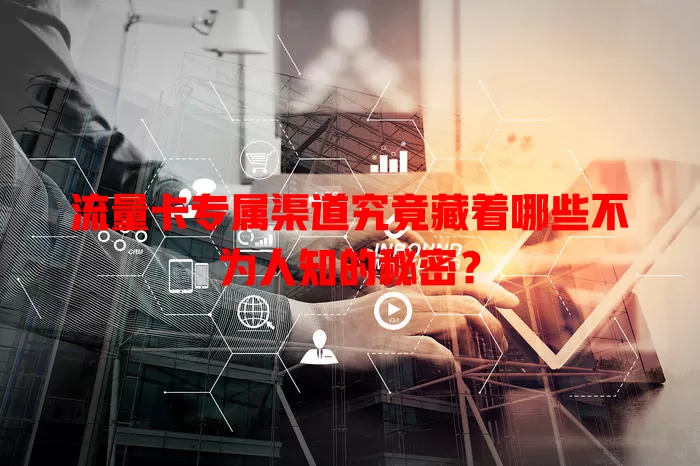 流量卡专属渠道究竟藏着哪些不为人知的秘密？