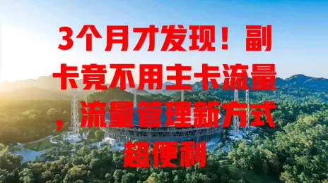 3个月才发现！副卡竟不用主卡流量，流量管理新方式超便利
