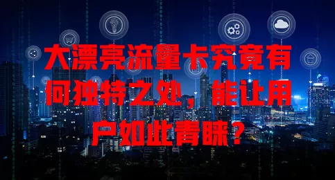大漂亮流量卡究竟有何独特之处，能让用户如此青睐？