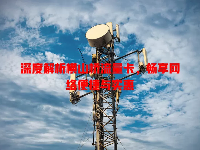 深度解析横山桥流量卡，畅享网络便捷与实惠