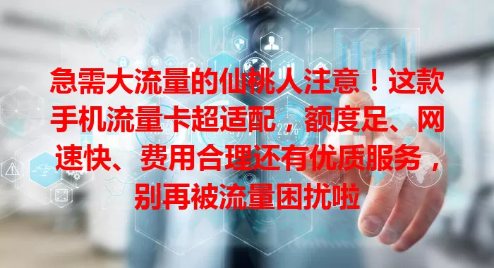 急需大流量的仙桃人注意！这款手机流量卡超适配，额度足、网速快、费用合理还有优质服务，别再被流量困扰啦