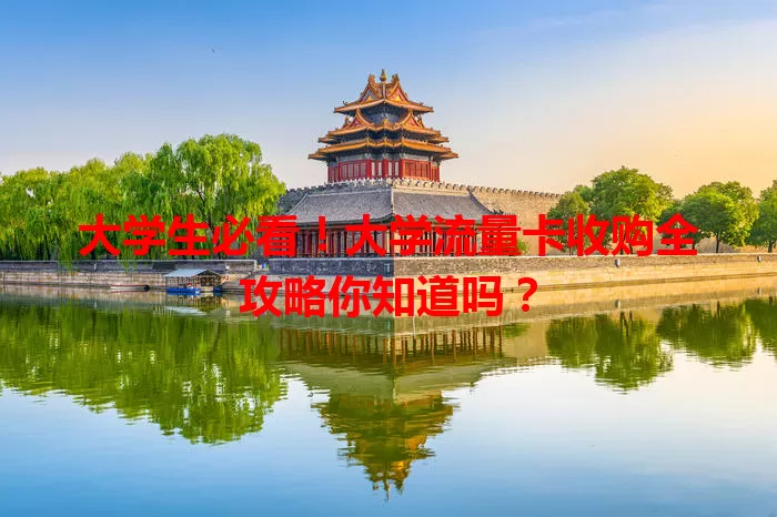 大学生必看！大学流量卡收购全攻略你知道吗？