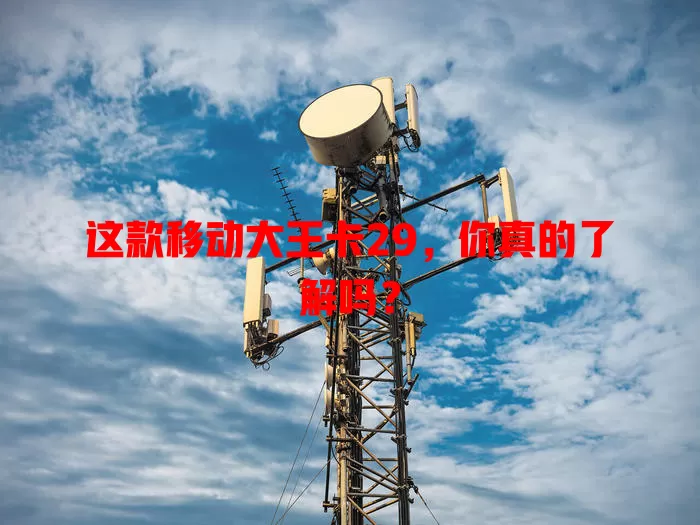 这款移动大王卡29，你真的了解吗？
