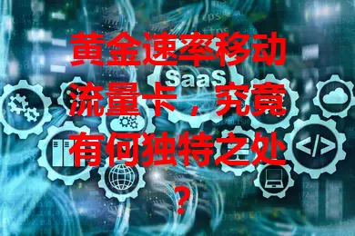 黄金速率移动流量卡，究竟有何独特之处？