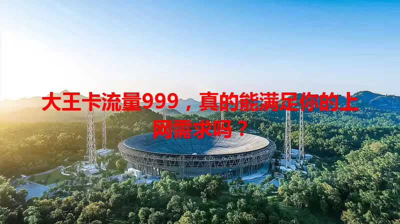 大王卡流量999，真的能满足你的上网需求吗？