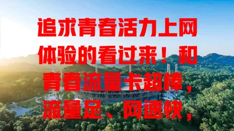 追求青春活力上网体验的看过来！和青春流量卡超棒，流量足、网速快，套餐多样超贴心，是青春网络生活的贴心保障