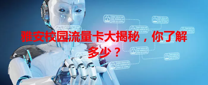 雅安校园流量卡大揭秘，你了解多少？