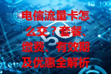 电信流量卡怎么交？套餐、缴费、有效期及优惠全解析

在数字化时代，流量对手机用户至关重要，电信流量卡备受青睐。本文为你详细介绍其套餐类型、缴费方式、有效期及优惠活动，助你轻松搞定流量卡缴费，畅享网络。