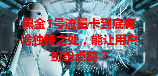 黑金1号流量卡到底有啥独特之处，能让用户纷纷点赞？