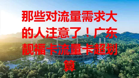 那些对流量需求大的人注意了！广东靓福卡流量卡超划算