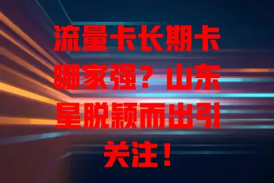 流量卡长期卡哪家强？山东星脱颖而出引关注！