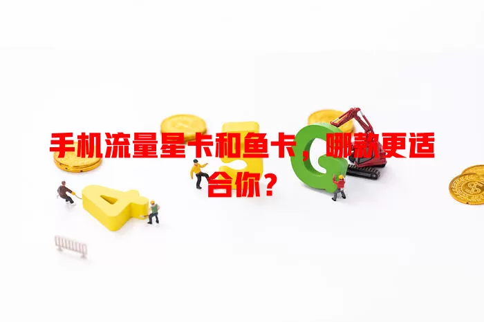 手机流量星卡和鱼卡，哪款更适合你？