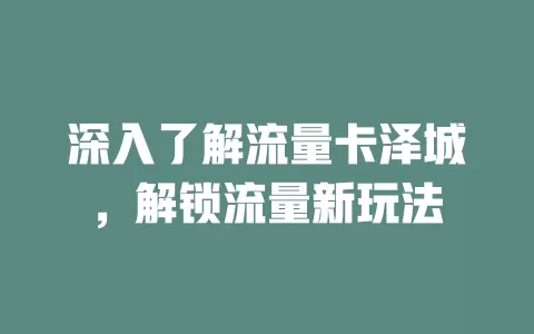 深入了解流量卡泽城，解锁流量新玩法