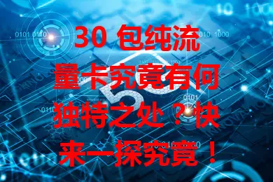 30 包纯流量卡究竟有何独特之处？快来一探究竟！