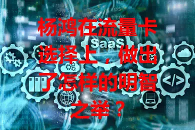 杨鸿在流量卡选择上，做出了怎样的明智之举？