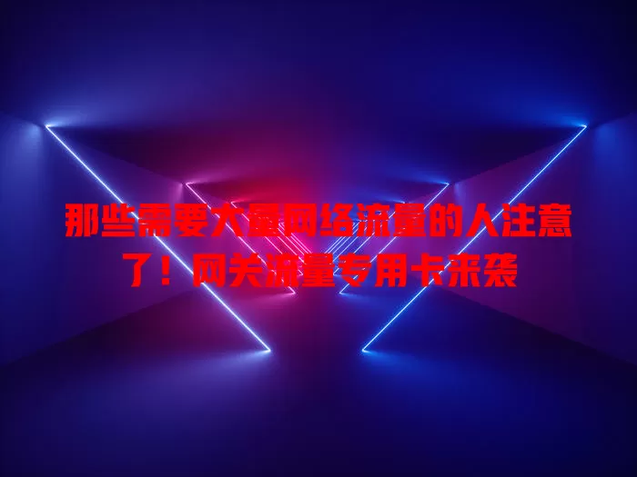 那些需要大量网络流量的人注意了！网关流量专用卡来袭