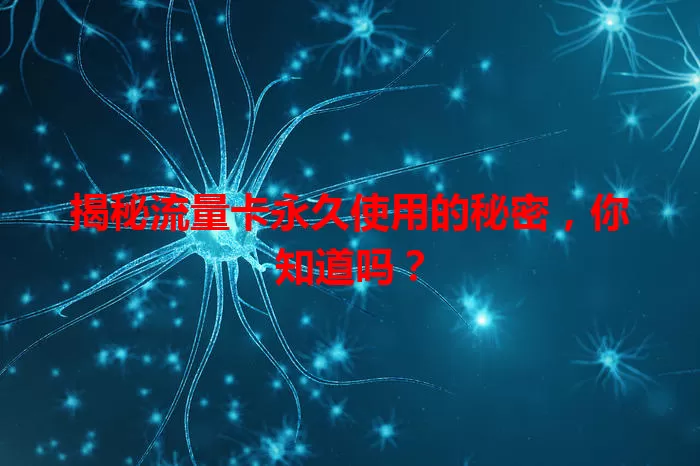 揭秘流量卡永久使用的秘密，你知道吗？
