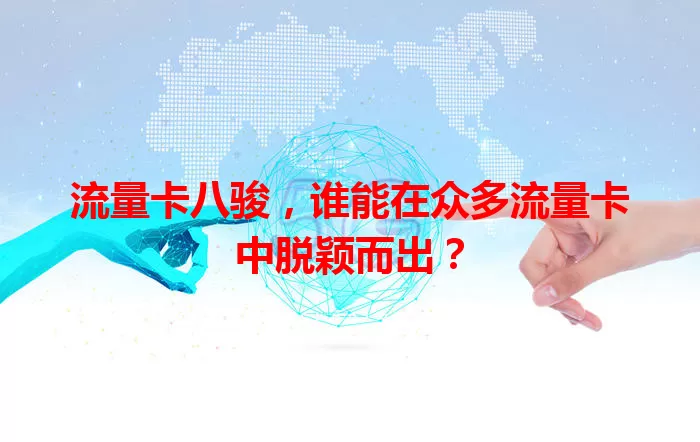 流量卡八骏，谁能在众多流量卡中脱颖而出？