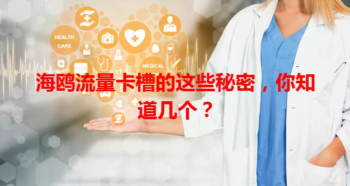 海鸥流量卡槽的这些秘密，你知道几个？