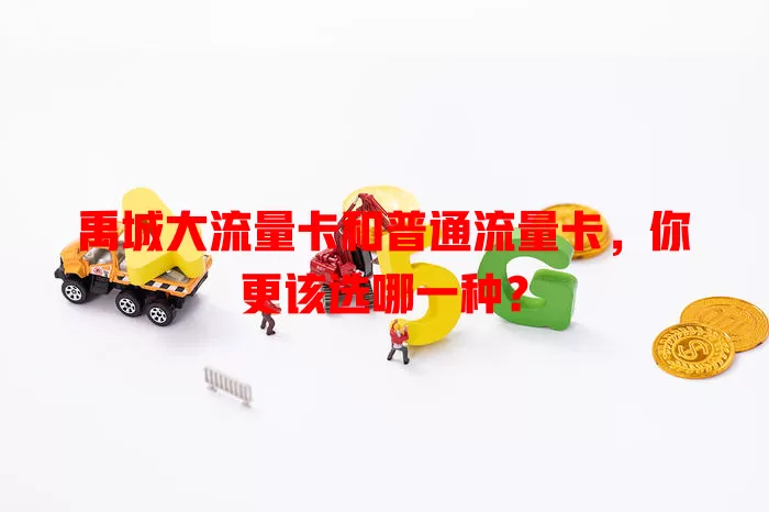 禹城大流量卡和普通流量卡，你更该选哪一种？