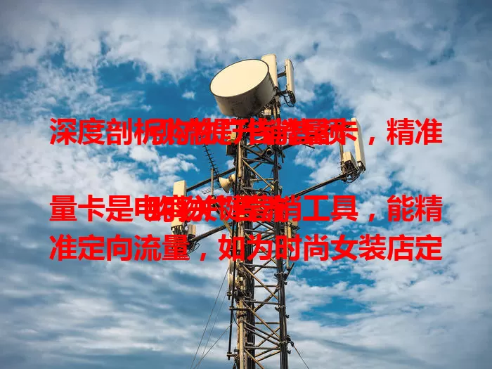 深度剖析购物广告流量卡，精准引流提升销售额

购物广告流量卡是电商关键营销工具，能精准定向流量，如为时尚女装店定位特定女性群体，提高转化率。成本低效益高，平均降本超30%，还能灵活调整策略，是商家脱颖而出的法宝 。