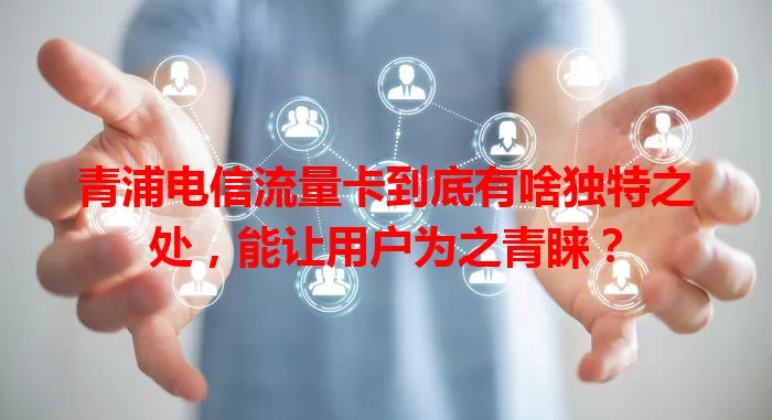 青浦电信流量卡到底有啥独特之处，能让用户为之青睐？