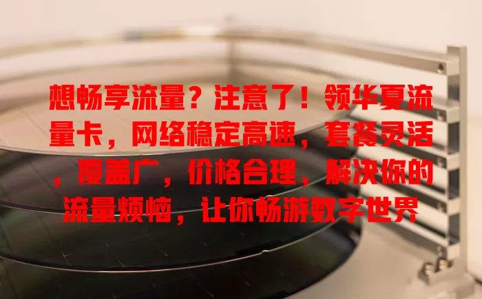 想畅享流量？注意了！领华夏流量卡，网络稳定高速，套餐灵活，覆盖广，价格合理，解决你的流量烦恼，让你畅游数字世界