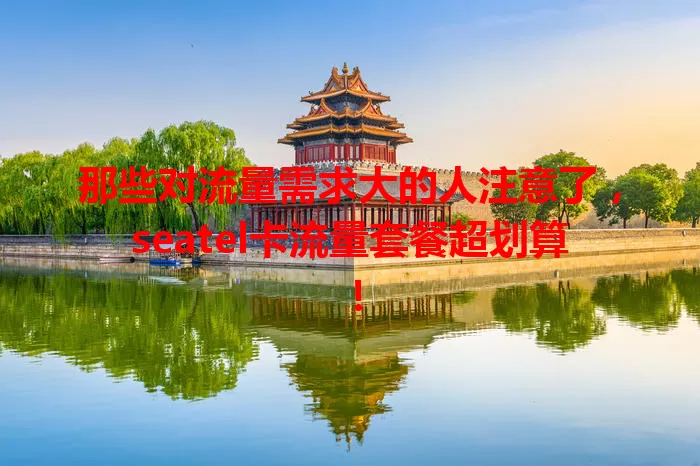 那些对流量需求大的人注意了，seatel卡流量套餐超划算！