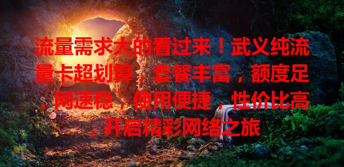 流量需求大的看过来！武义纯流量卡超划算，套餐丰富，额度足，网速稳，使用便捷，性价比高，开启精彩网络之旅