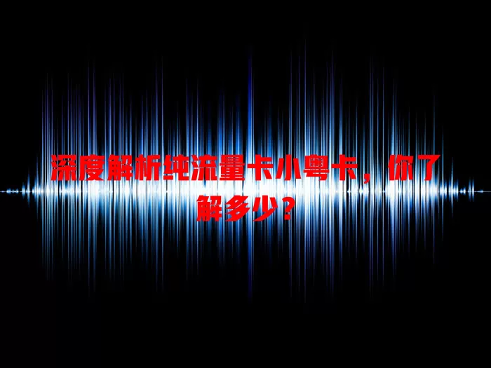 深度解析纯流量卡小粤卡，你了解多少？