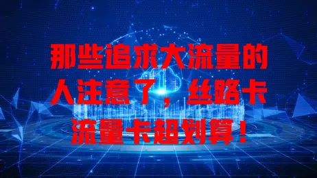 那些追求大流量的人注意了，丝路卡流量卡超划算！