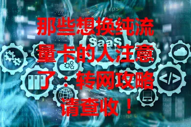 那些想换纯流量卡的人注意了：转网攻略请查收！